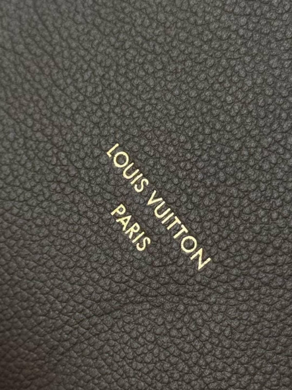 LV Express PM Bag LV Express PM Bag