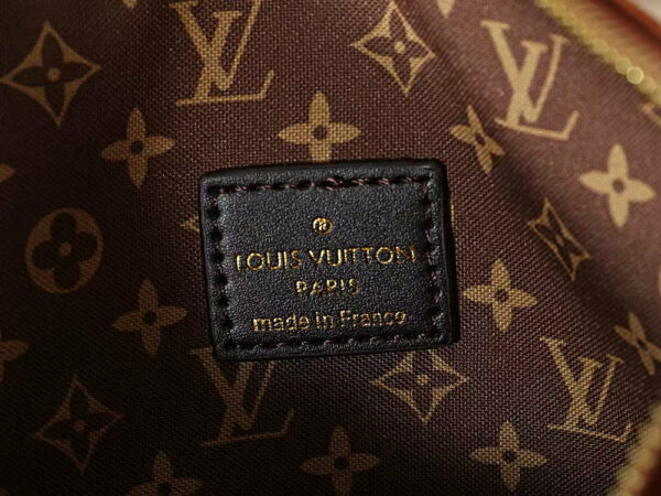 LV Multipass Suede Brown Bag LV Multipass Suede Brown Bag